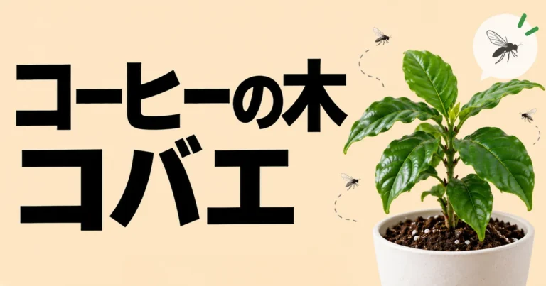 コーヒーの木と鉢土の周囲を飛ぶ小さな虫を描いた記事アイキャッチ