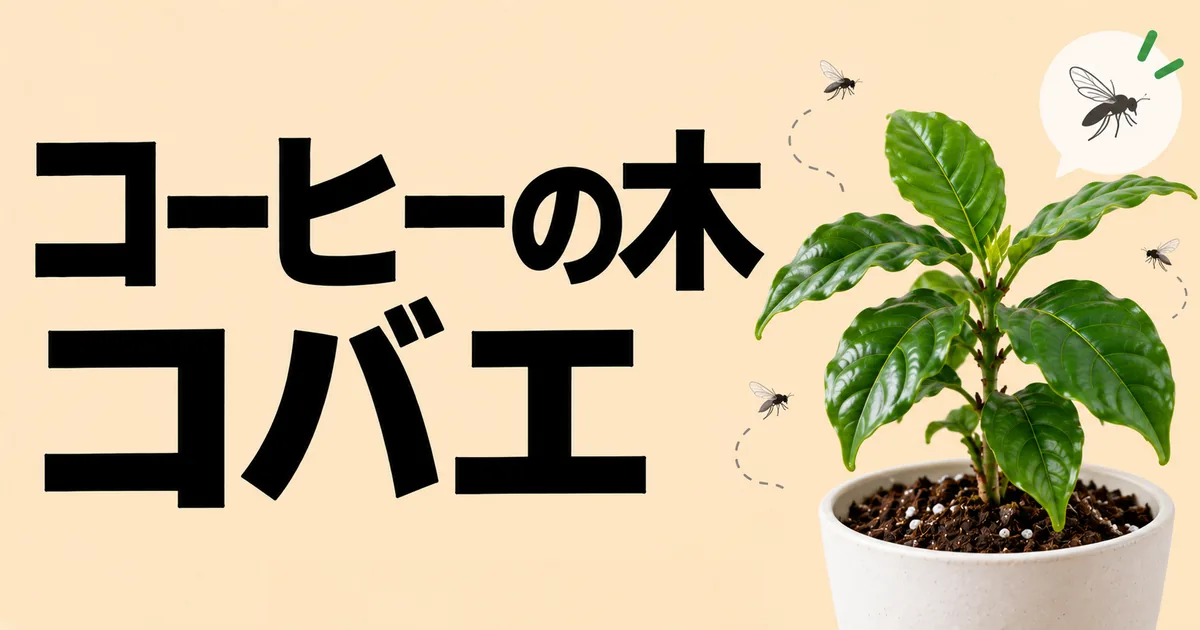 コーヒーの木と鉢土の周囲を飛ぶ小さな虫を描いた記事アイキャッチ