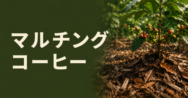 マルチングコーヒーとは？コーヒー栽培での役割・効果・注意点を解説