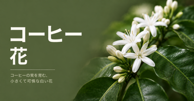 コーヒーの花とは？咲く時期・香り・実との関係を解説
