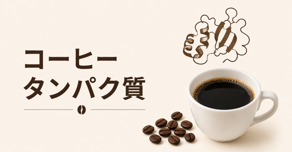 コーヒーとタンパク質の関係とは？筋トレや健康に人気の理由をやさしく解説
