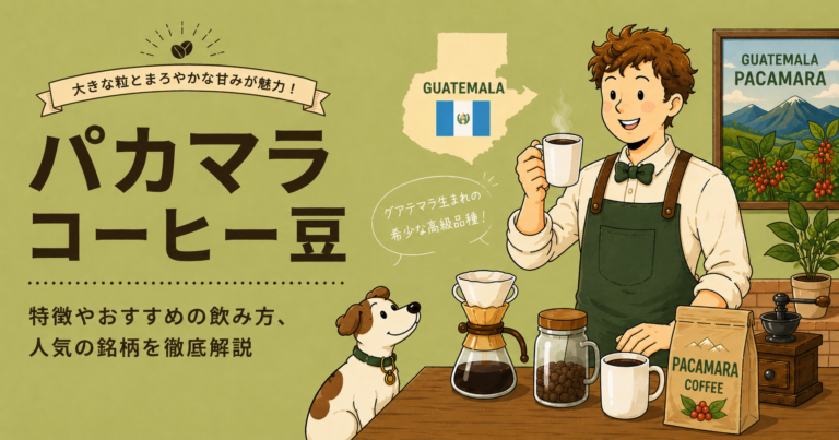 パカマラコーヒーとは？味の特徴・品種の歴史・おすすめの飲み方をわかりやすく解説
