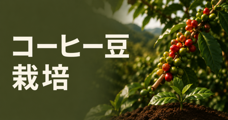 コーヒー豆栽培とは？育て方・産地条件・収穫までを解説
