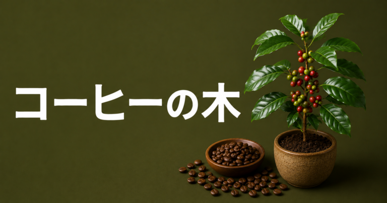 コーヒーの木とは？特徴・育て方・実がなるまでをわかりやすく解説