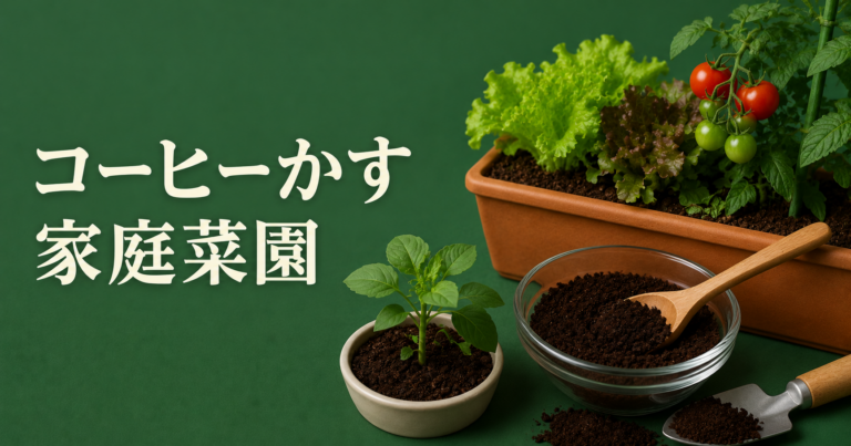 コーヒーかすは家庭菜園に使える？肥料・堆肥・虫よけの使い方と注意点