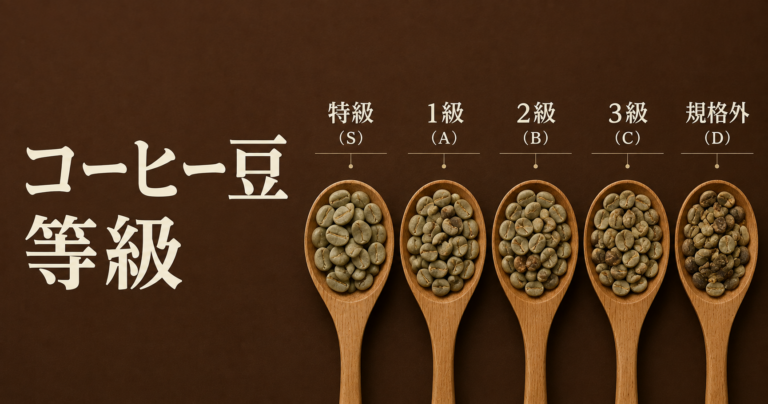 コーヒー豆の等級とは？グレードとの違い・国別基準・選び方を解説