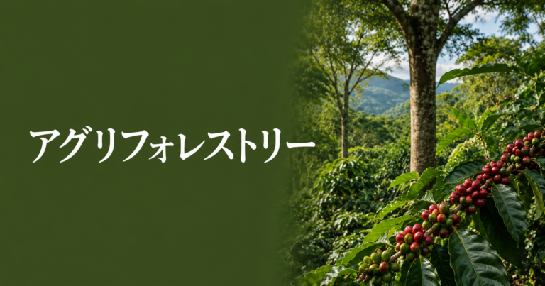 アグロフォレストリーとは？森と共に育つコーヒー栽培を解説