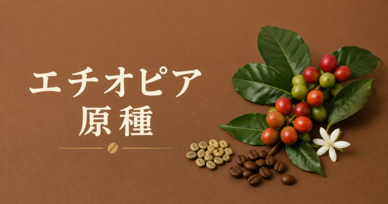 エチオピア原種とは?コーヒー発祥地に根づく在来系品種を解説