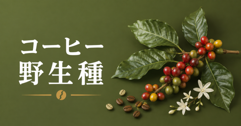 コーヒー野生種とは？アラビカのルーツと未来を支える遺伝資源を解説