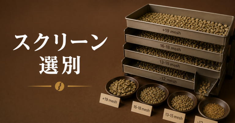 スクリーン選別とは？コーヒー豆をサイズで分ける工程を解説