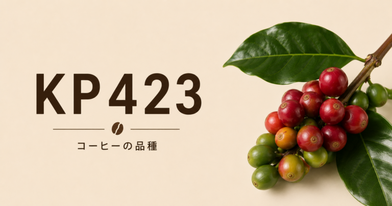 KP423コーヒーとは？特徴・歴史・味わい・タンザニアとの関係を解説