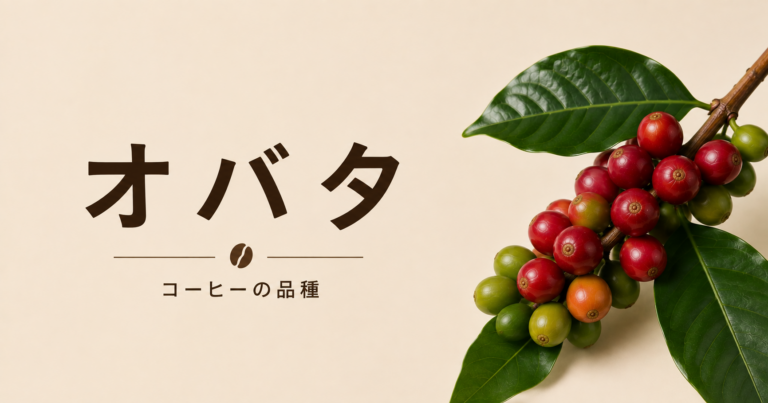 オバタ種コーヒーとは？特徴・味わい・ブラジルでの栽培・選び方を解説