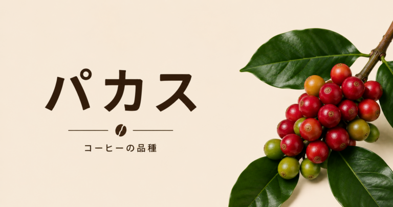 パカスコーヒーとは？特徴・歴史・味わい・パカマラとの関係を解説