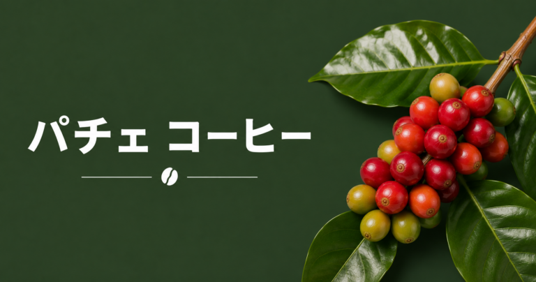 パチェコーヒーとは？特徴・歴史・味わい・グアテマラとの関係を解説