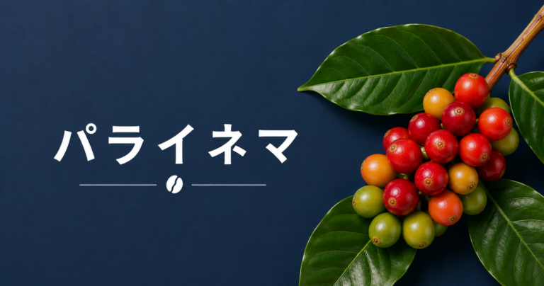 パライネマコーヒーとは？特徴・歴史・味わい・ホンジュラスとの関係を解説