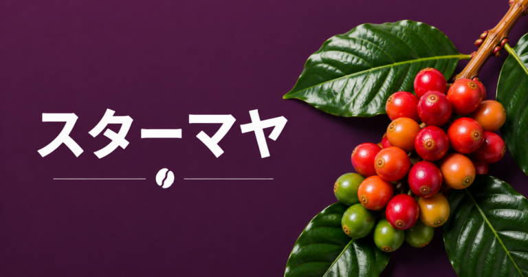 スターマヤとは？種子で増やせるF1ハイブリッドコーヒー品種の特徴・味わい・選び方を解説
