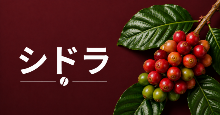 シドラとは？希少なコーヒー品種の特徴・味わい・ゲイシャとの違いを解説