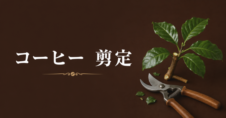 コーヒーの剪定とは？目的・種類・品質への影響をわかりやすく解説