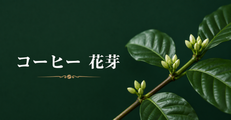 コーヒーの花芽とは？開花・チェリー・品質との関係をわかりやすく解説