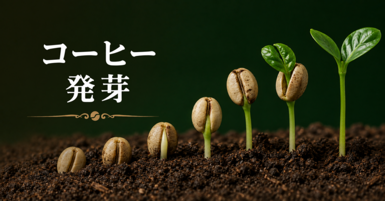 コーヒーの発芽とは？豆から芽が出る条件と育て方を解説