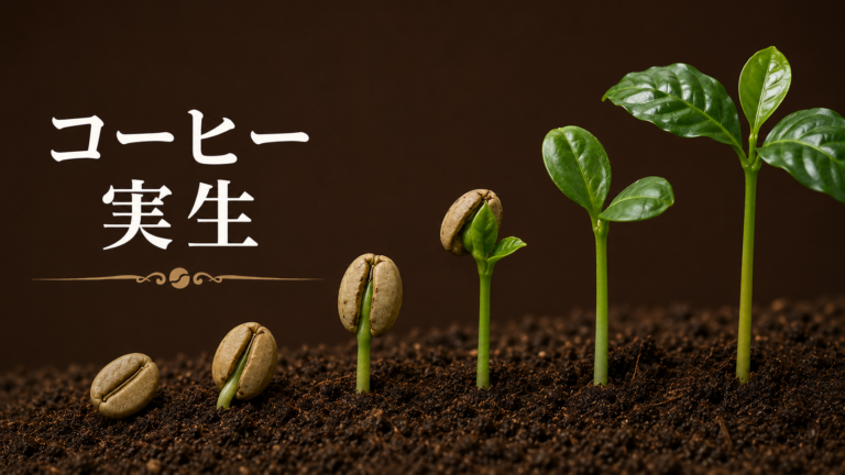 コーヒーの実生とは？種から育てるコーヒーノキの基礎を解説