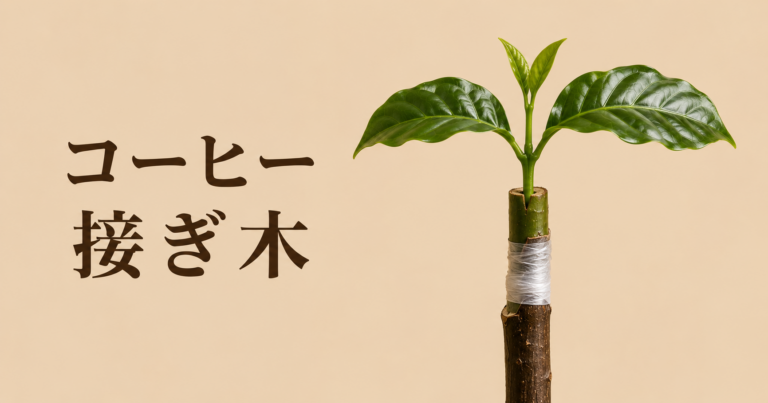 コーヒーの接ぎ木とは？台木と穂木の役割を解説