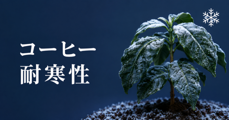 コーヒーの耐寒性はどのくらい？冬越しの温度・寒さ対策を解説