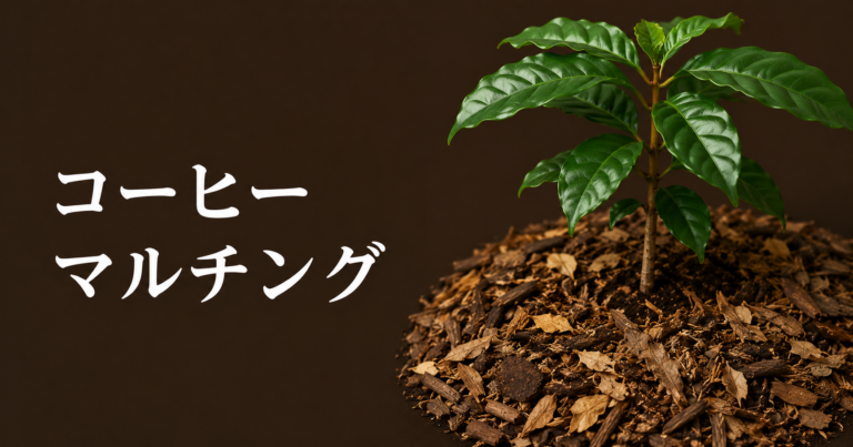 コーヒーのマルチングとは？土を守る栽培管理を解説