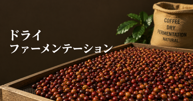 ドライファーメンテーションとは？コーヒー発酵工程を解説