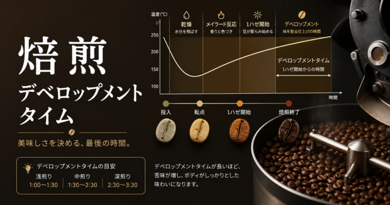 焙煎のデベロップメントタイムとは？味への影響を解説