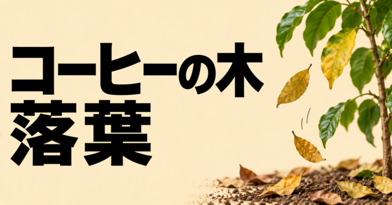 コーヒーの木が落葉する原因と対処法｜葉が落ちるときの育て方を解説
