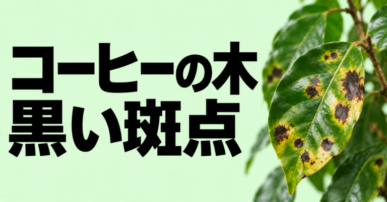 コーヒーの木に黒い斑点が出る原因と対処法｜病気・根腐れ・葉焼けの見分け方