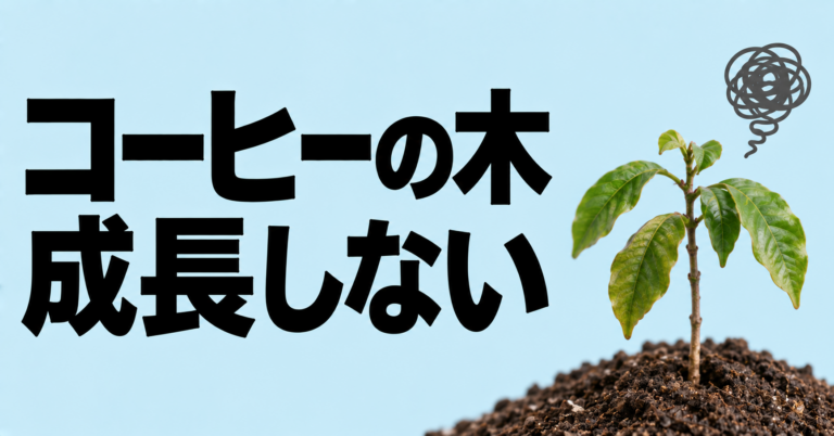 コーヒーの木が成長しない原因は？日当たり・水やり・根詰まりの見直し方を解説