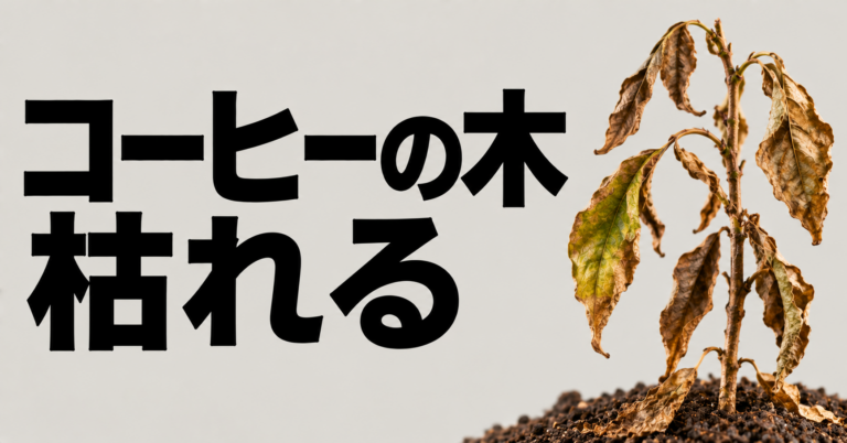 コーヒーの木が枯れる原因と復活方法｜水切れ・根腐れ・寒さの見分け方