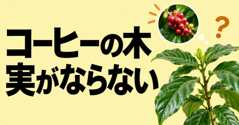 コーヒーの木に実がならない原因は？受粉と育て方の見直し方