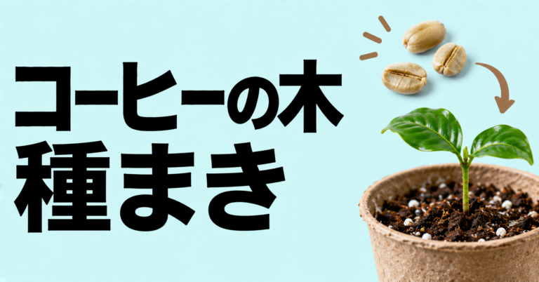 コーヒーの木は種まきで育てられる?発芽のコツと育て方をわかりやすく解説