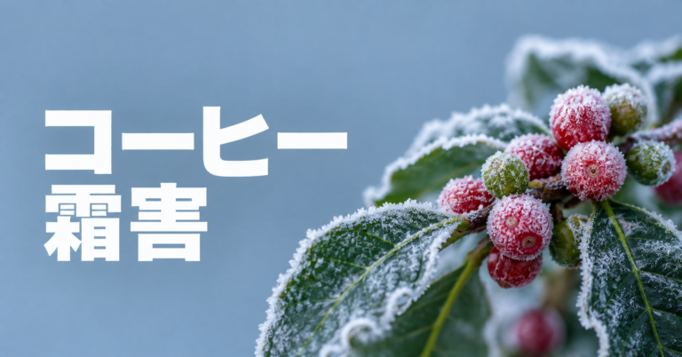 コーヒー霜害とは？産地・品質・価格への影響を解説