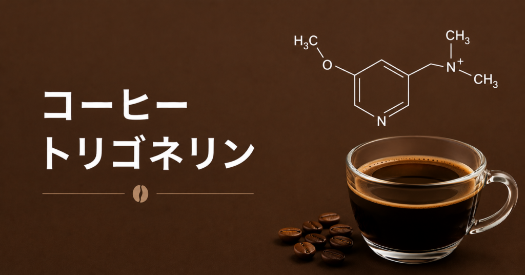 コーヒーのトリゴネリンとは？焙煎で変化する成分と味・香りへの影響を解説
