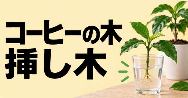 コーヒーの木は挿し木で増やせる？時期・枝の選び方・手順をわかりやすく解説