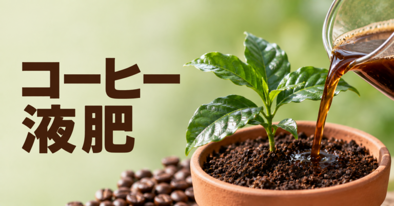 コーヒー液肥とは？コーヒーノキに使う液体肥料の基本と注意点を解説