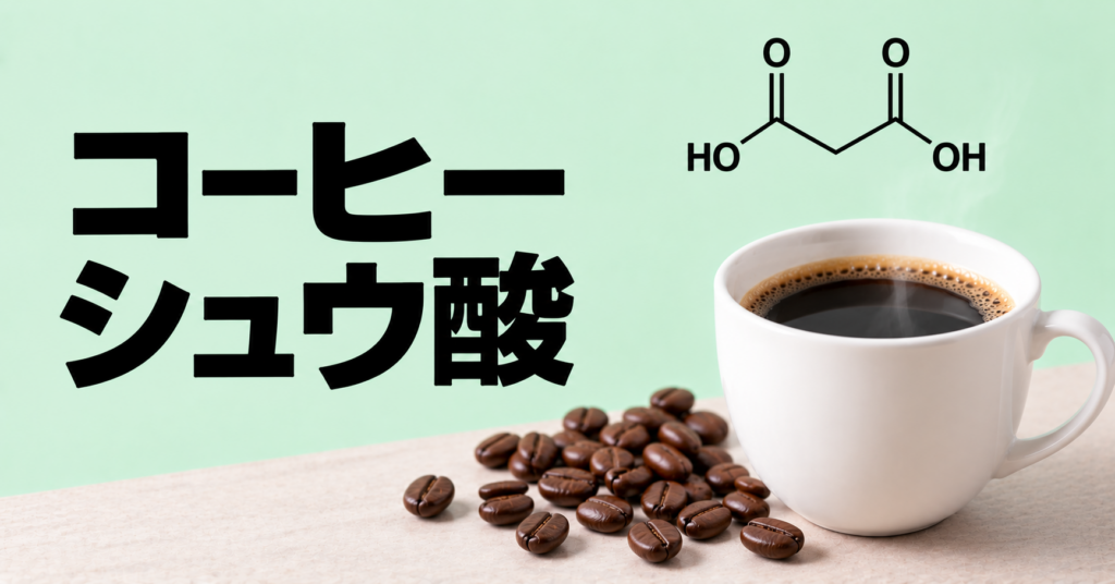 コーヒーにシュウ酸は含まれる？結石が気になる人の飲み方を解説